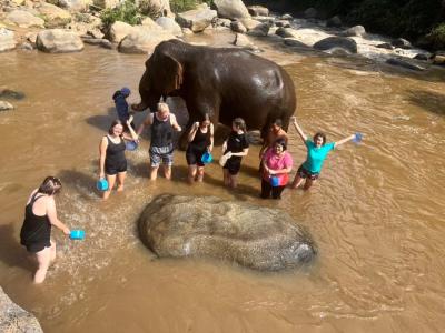 Photos from our guests | Chiang Mai Trekking | The best trekking in Chiang Mai with Piroon Nantaya